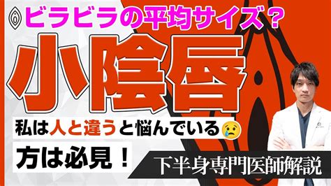 デリケートゾーン ビラビラ|びらびらの大きさ標準は？一般普通サイズを徹底解説…